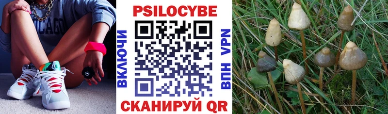 Галлюциногенные грибы мухоморы  blacksprut сайт  Очёр 